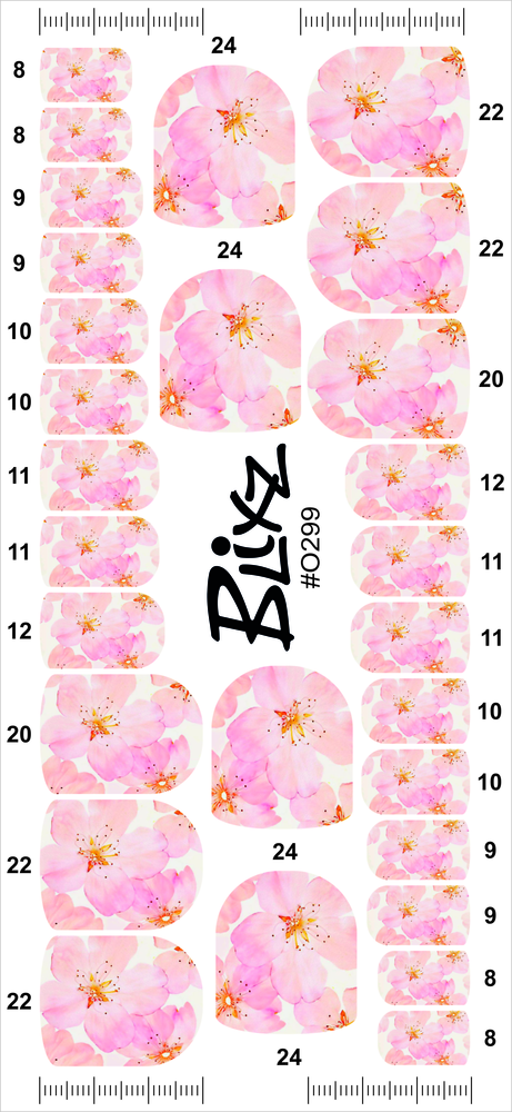 Blixz #O299